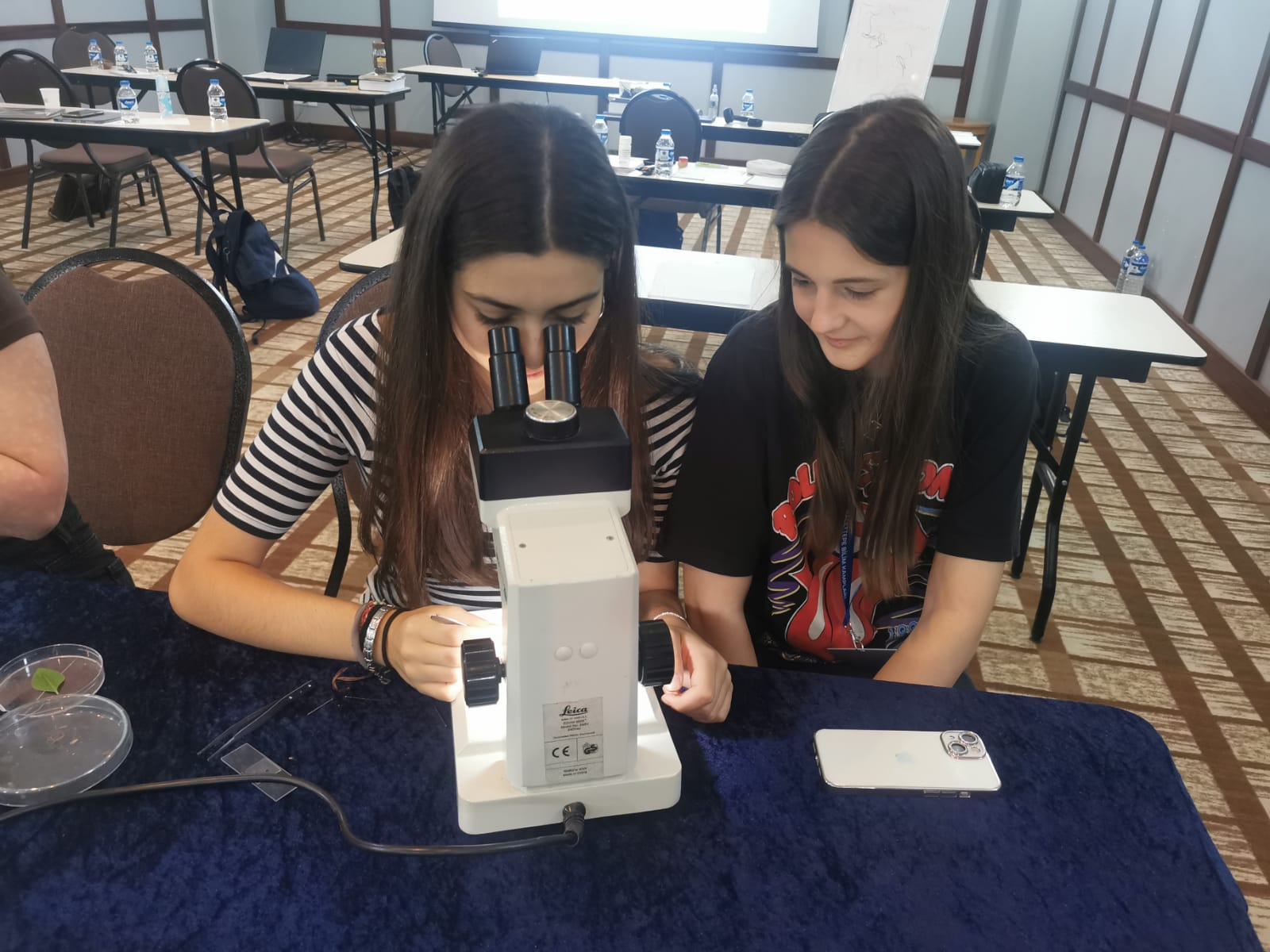 Kamp etkinliğinden genel bir görünüm